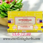 Satya Citronella