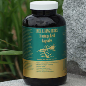Ever-Living-Herbs-Moringa-Leaf-Powder-Capsules